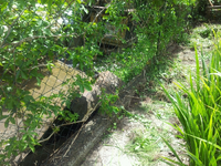 20120510140452.webp