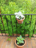 20120510143725.webp