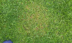 20120510_151000.webp