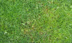 20120510_151011.webp