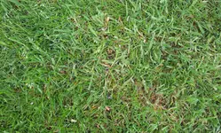 20120510_151022.webp