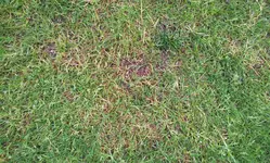 20120510_151033.webp
