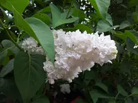 2012-05-10 16.40.33.webp