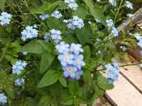 2012-05-10 16.40.52.webp