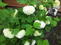 2012-05-10 16.41.18.webp