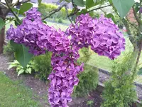 2012-05-10 16.42.14.webp