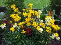 2012-05-10 16.41.40.webp