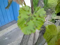 09052012220.webp