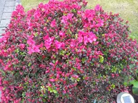 2012-05-10 16.43.25.webp