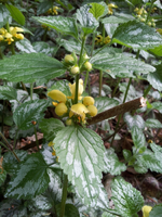 20120501154515.webp
