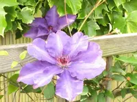 022.webp