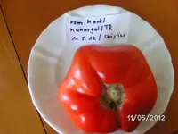 BILD0132.webp