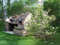 Grillplatz und Magnolie.webp