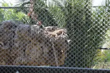 IMG_8214.webp