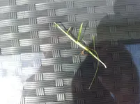 20120512_145732.webp