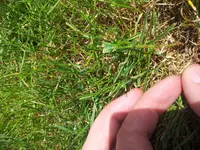 20120512_145716.webp