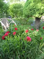 IMG_8676.webp