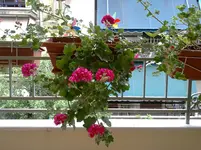 130520121141.webp