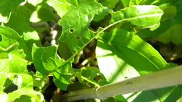 DSCN2628.webp