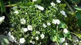 DSCN2648.webp