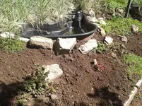 2012-05-12 15.44.04.webp