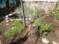 2012-05-12 16.13.09.webp