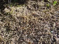P5131109.webp