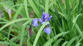 P10.jpg