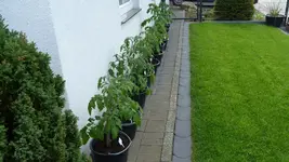 P1020615.webp