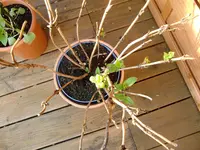 grill und garten 034.webp