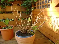 grill und garten 035.webp