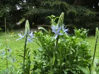 BILD1390.webp