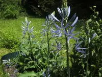 BILD1411.webp