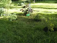 BILD1404.webp