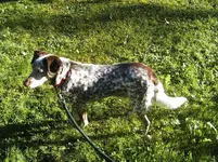 BILD1074.webp