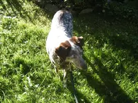 BILD1076.webp