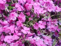IMG_20120514_105916[1].webp