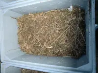 HB Grob Geschnetzeltes.webp