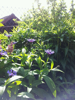 20120514162947.webp 20120514162947.webp