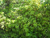 20120514163025.webp 20120514163025.webp
