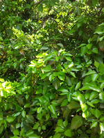 20120514163035.webp 20120514163035.webp