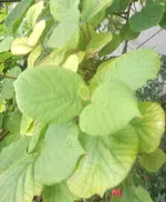 DSCF5873.webp
