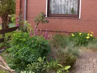 HPIM7622.webp