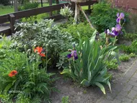 HPIM7621.webp