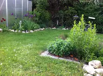 IMG_0848.webp