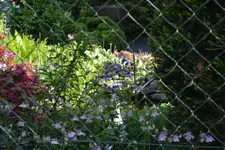 DSC_0482.webp