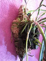 Nic120512 025.webp