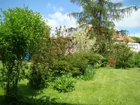 Westflanke - hier sehe ich noch viel Arbeit.webp