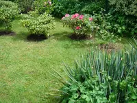 Kindergarten an der Ostflanke.webp