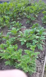 20120514_194102.webp